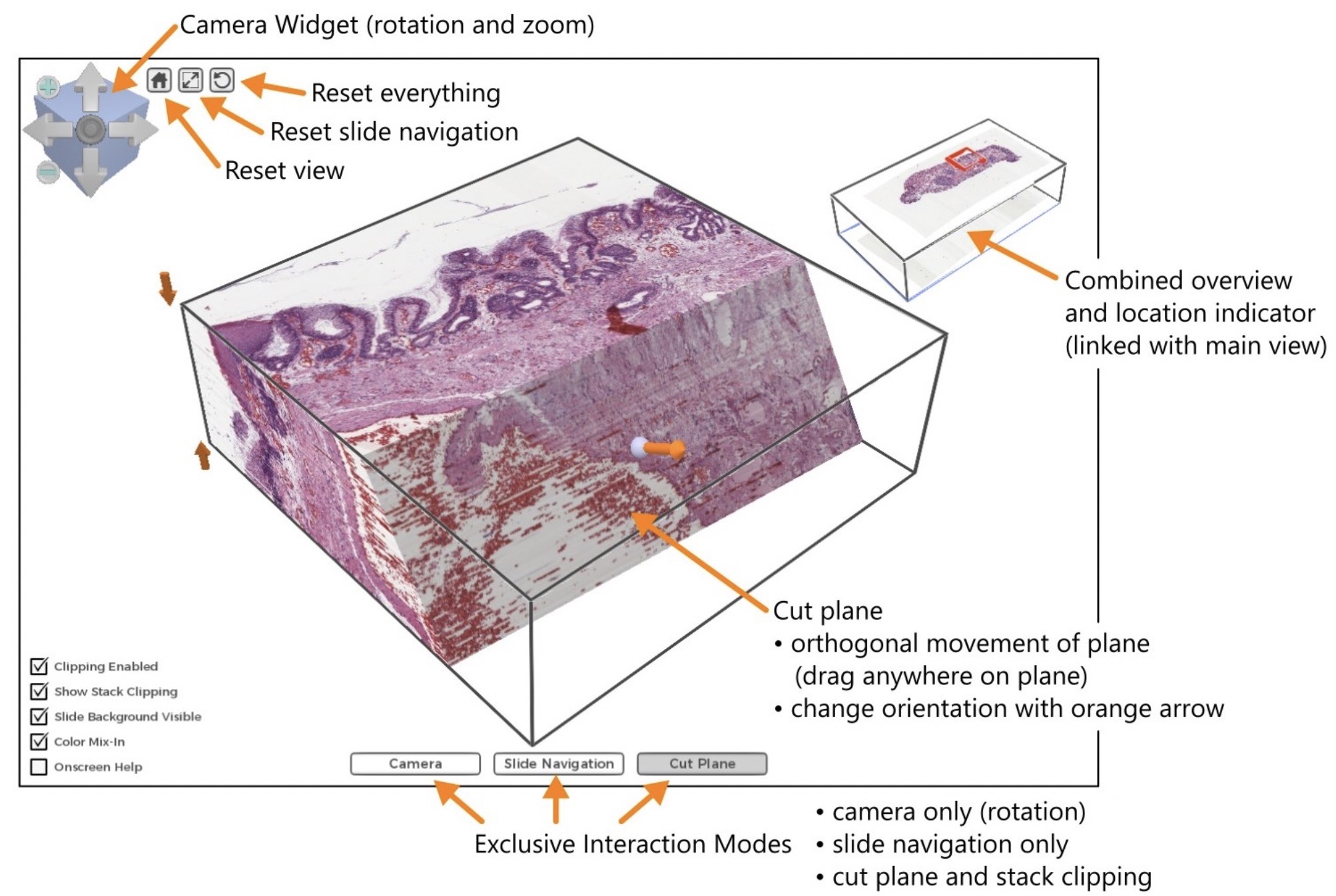 3d Histology Interactive High Resolution Volume Rendering For